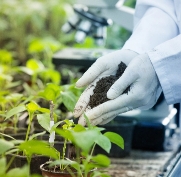 Agrochemical