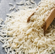 Rice