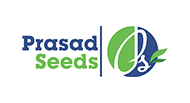 Prasad Seeds